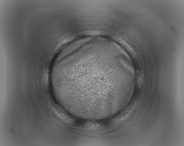 X0000112110207200908181355