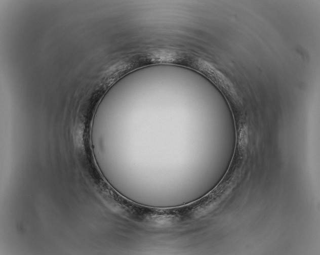 X0000112110209200908181355