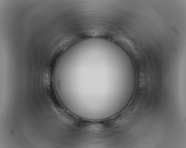 X0000112110210200908181355