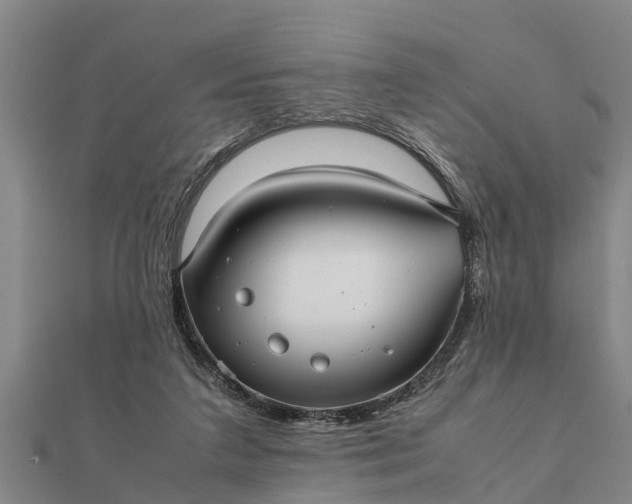 X0000112110211200908181355