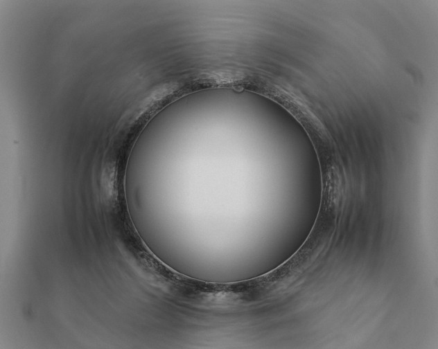 X0000112110212200908181355