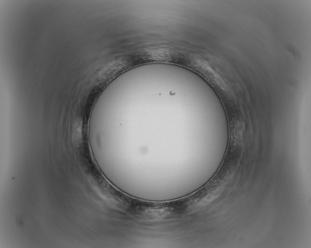 X0000112110213200908181355