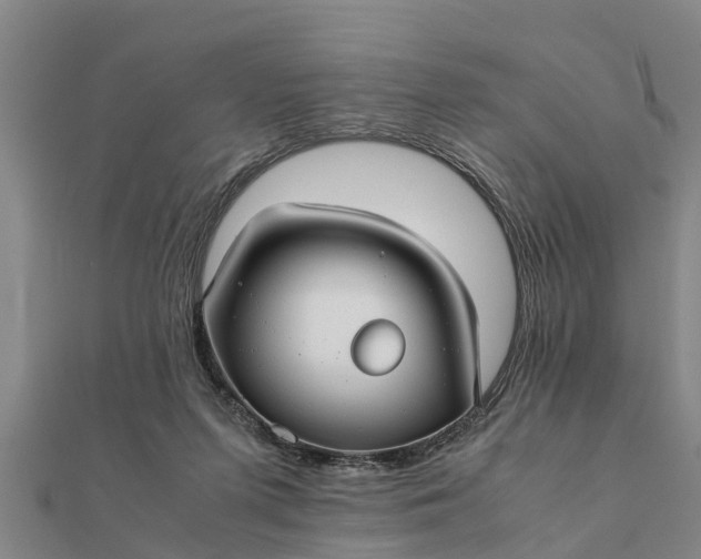 X0000112110215200908181355