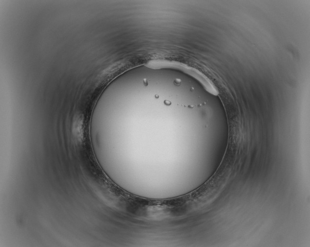 X0000112110216200908181355