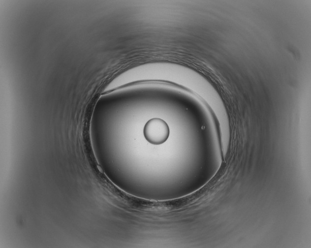 X0000112110217200908181355