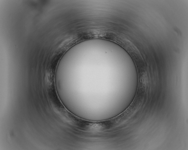 X0000112110218200908181355