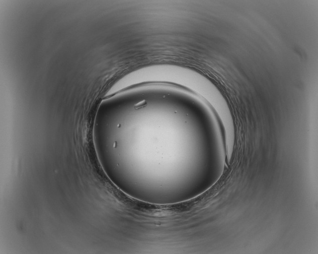 X0000112110219200908181355