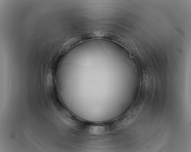 X0000112110220200908181355