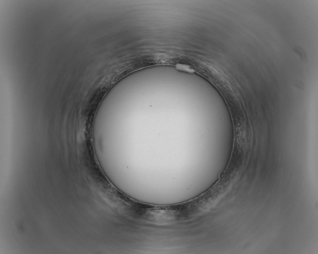 X0000112110221200908181355