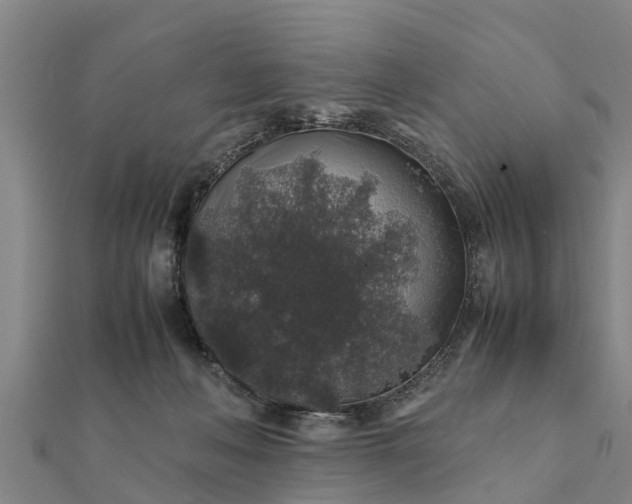 X0000112110222200908181355