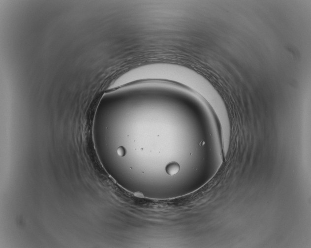 X0000112110223200908181355