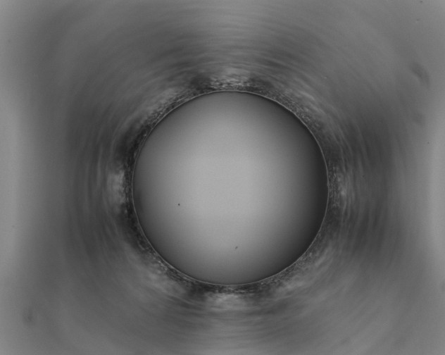 X0000112110224200908181355