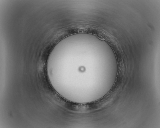 X0000112110225200908181354