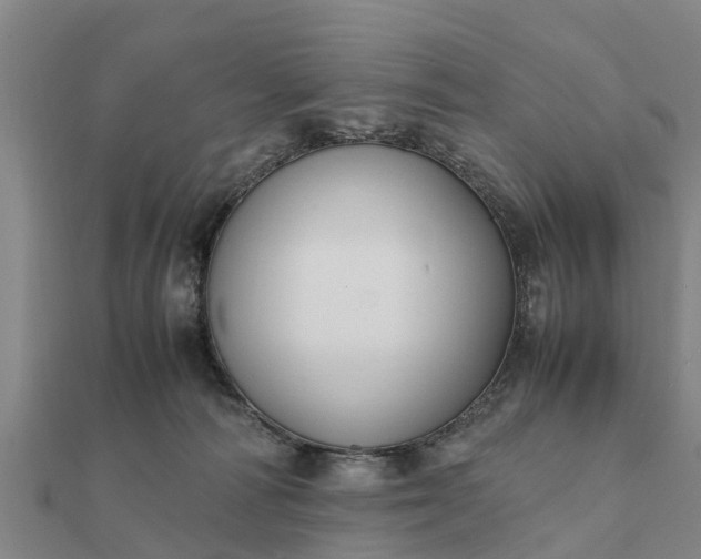 X0000112110226200908181354