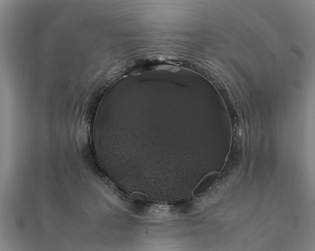 X0000112110227200908181354