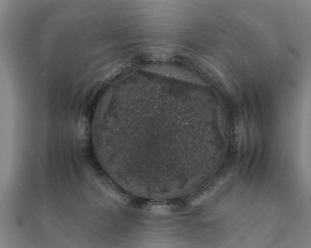 X0000112110228200908181354