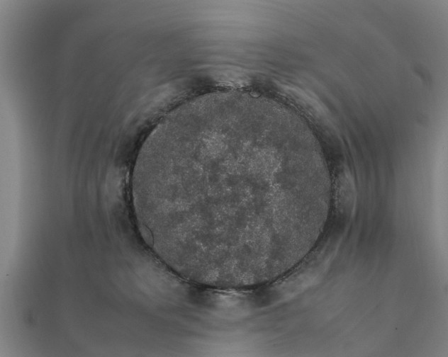 X0000112110229200908181354