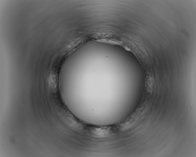 X0000112110232200908181354