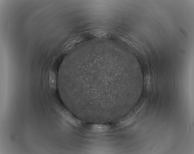 X0000112110234200908181354