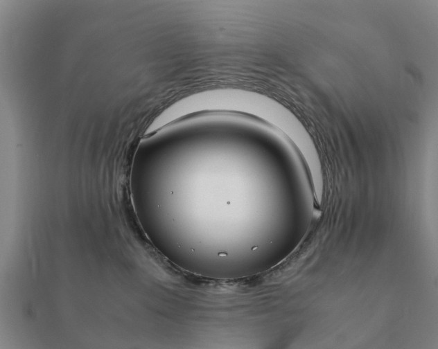 X0000112110235200908181354