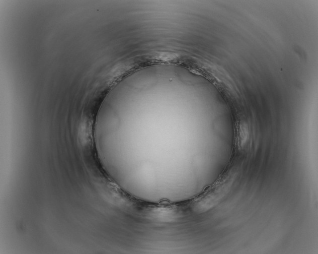 X0000112110236200908181354