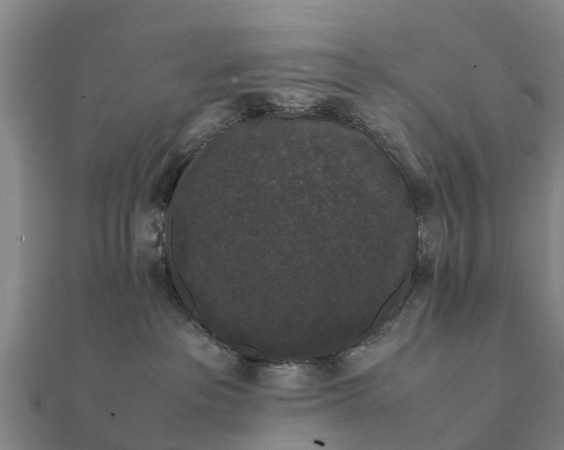 X0000112110237200908181354