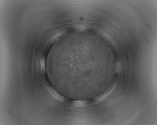 X0000112110238200908181354