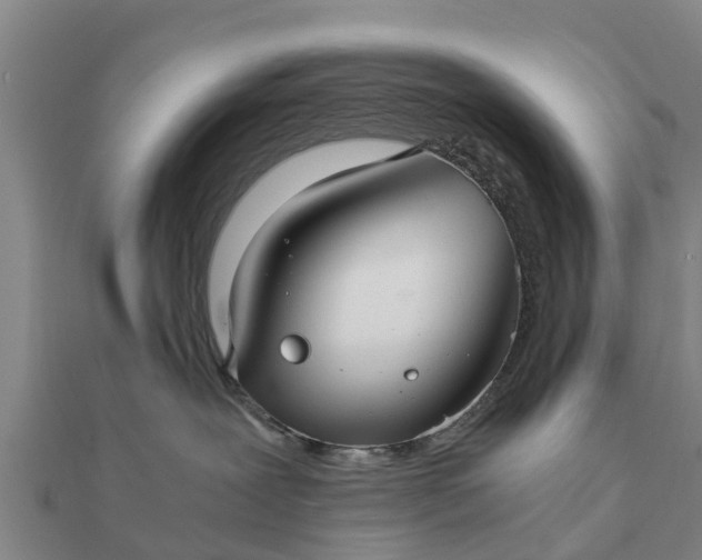 X0000112110239200908181354