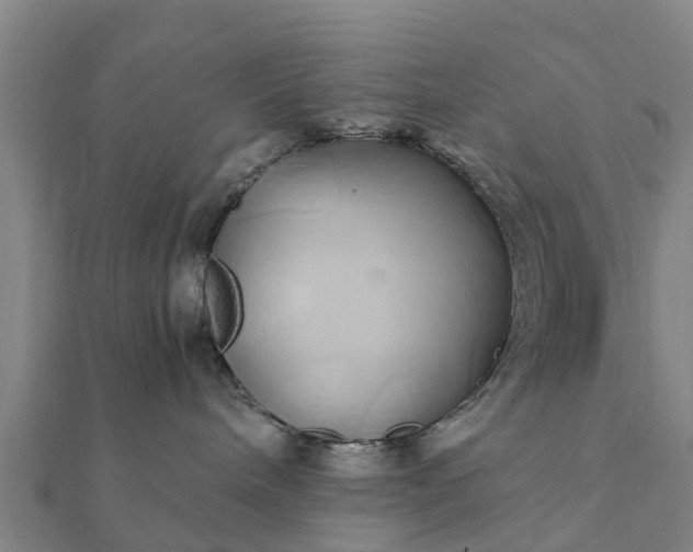 X0000112110240200908181354