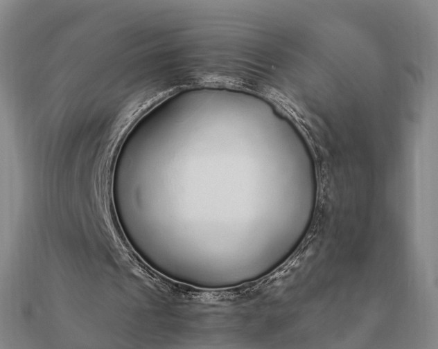 X0000112110241200908181354