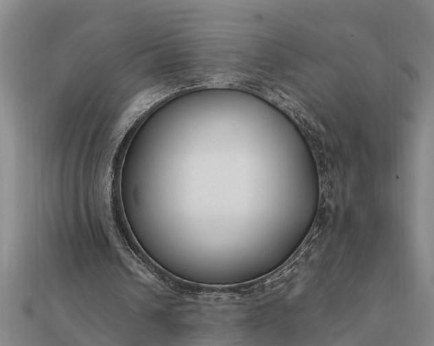 X0000112110242200908181354