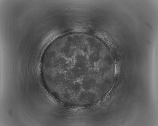 X0000112110243200908181354