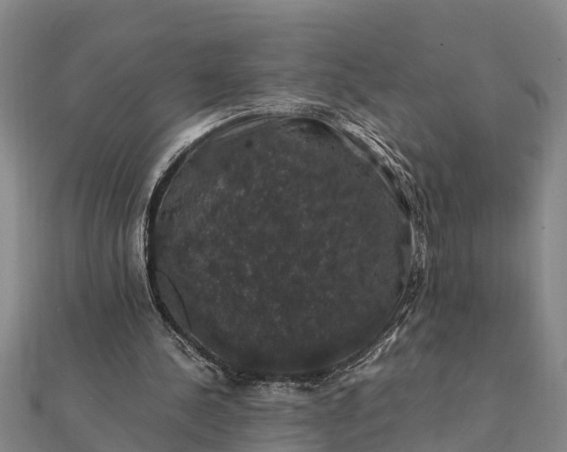 X0000112110244200908181354