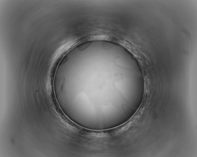 X0000112110245200908181354