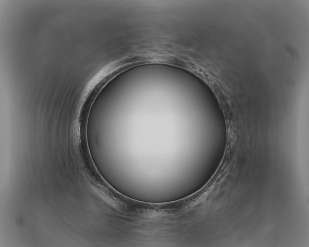 X0000112110246200908181354