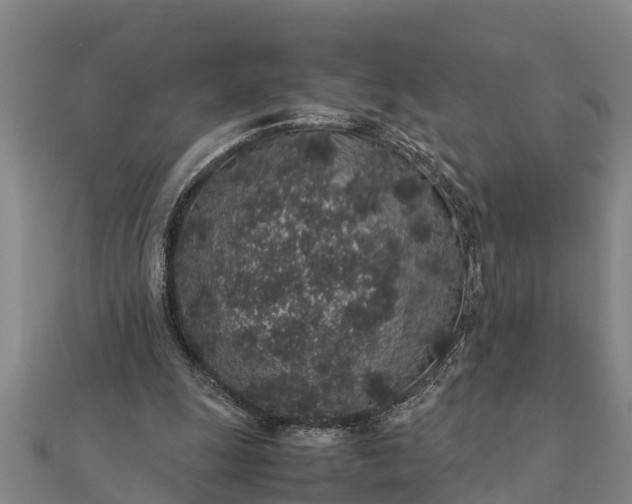 X0000112110247200908181354