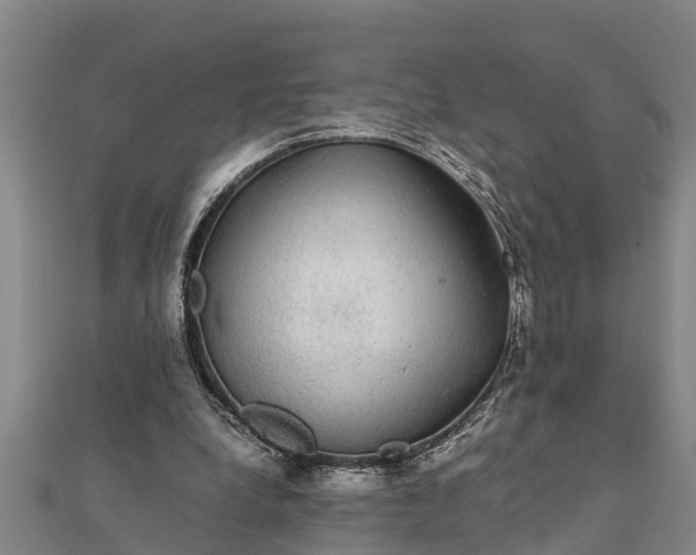 X0000112110248200908181354