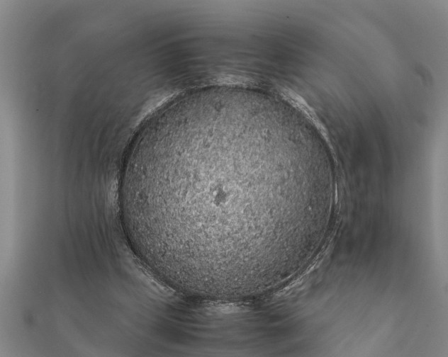 X0000112110249200908181354