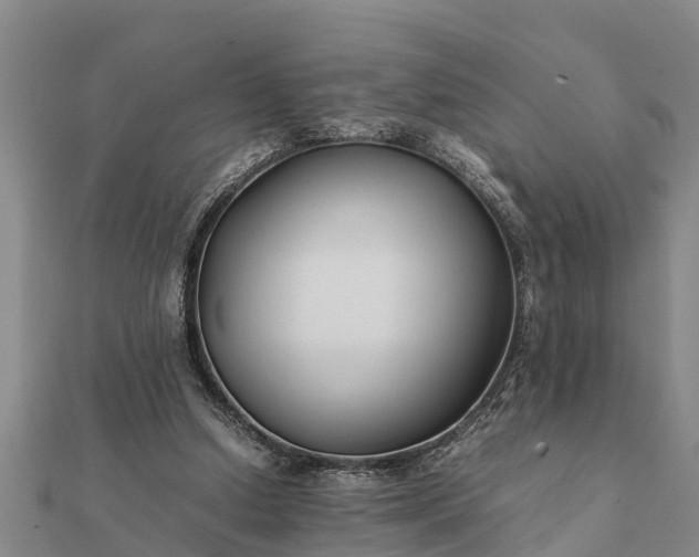 X0000112110250200908181354