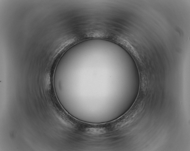 X0000112110251200908181354