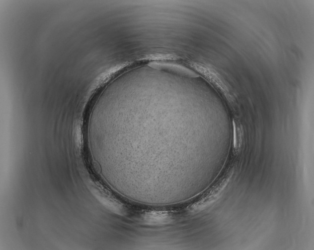 X0000112110252200908181354