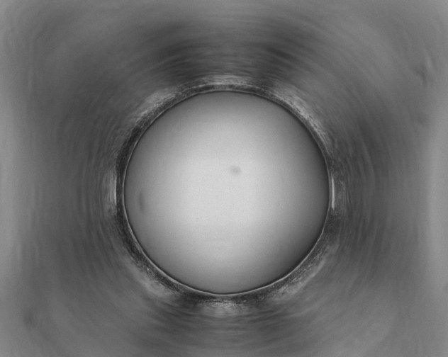 X0000112110253200908181354