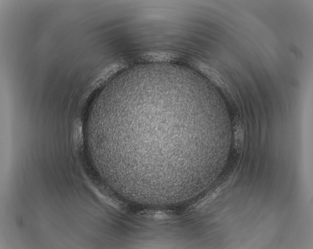 X0000112110254200908181354