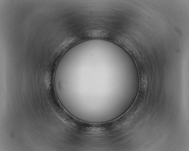 X0000112110255200908181354