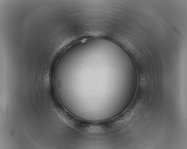 X0000112110256200908181354