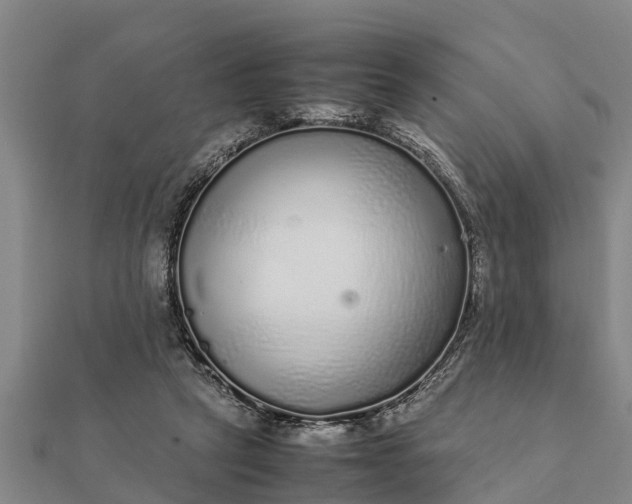 X0000112110257200908181354