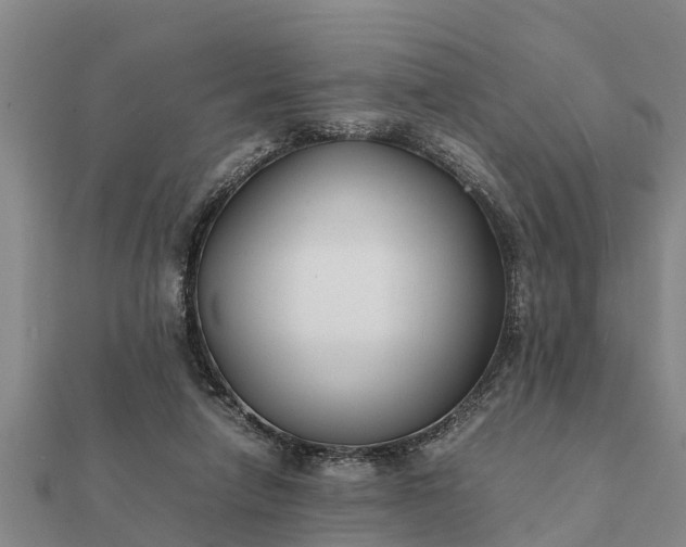 X0000112110258200908181354