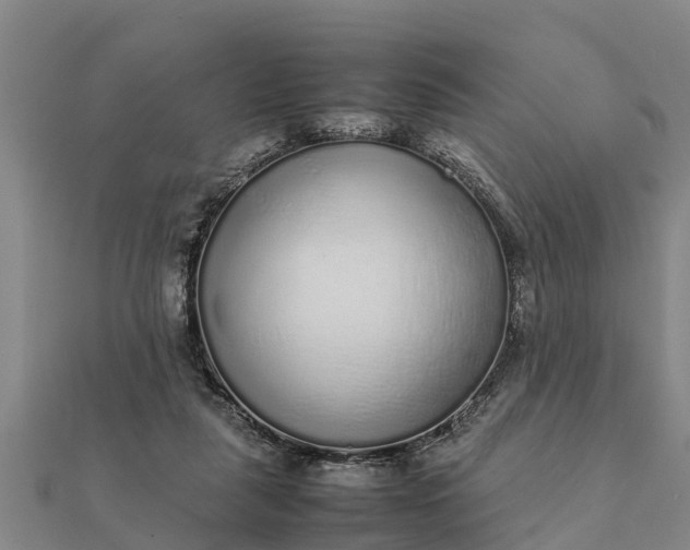 X0000112110259200908181354