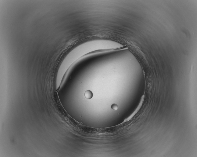 X0000112110260200908181354