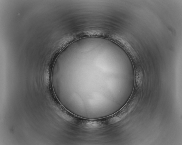 X0000112110261200908181354